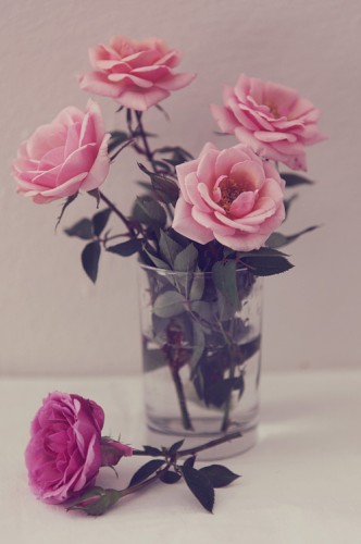 still_life