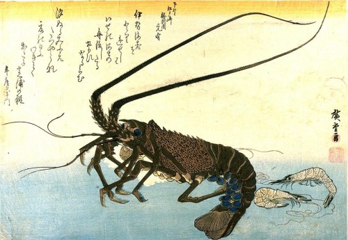 hiroshige_prawn