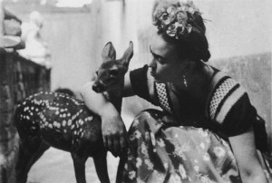 kahlo_fawn_photograph