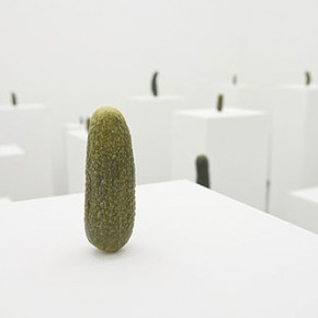 Erwin Wurm - Mustard Seed & Garlic Pickles