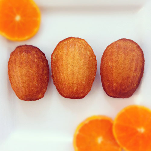 Madeleines nature x54