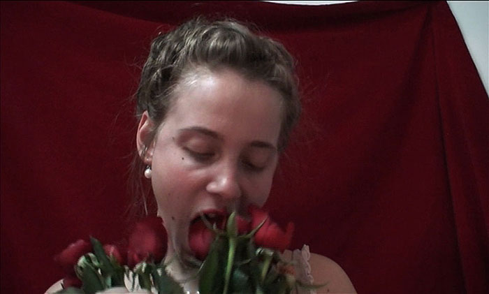 Hannah Raisin, Rose Garden, video still, 2009