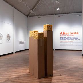 Aftertaste Install Photographs